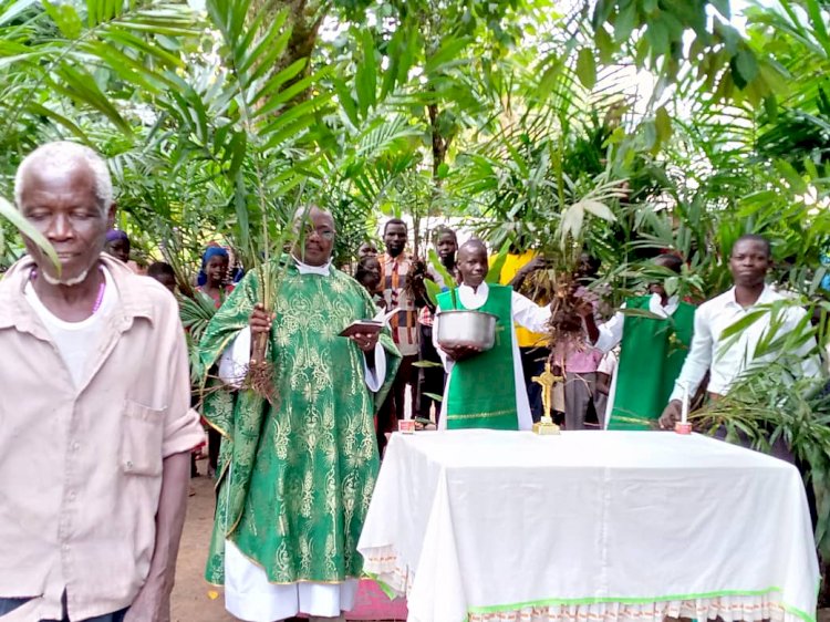 Vicar General Launches Palm Tree Planting Campaign in his New Parish