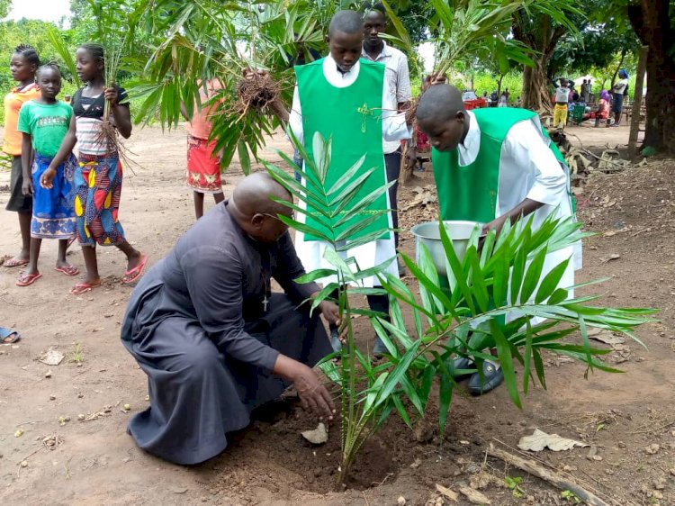Vicar General Launches Palm Tree Planting Campaign in his New Parish