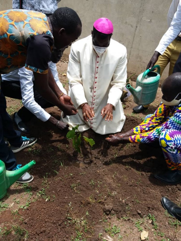 Bishop Launches Coffee Plantation at Solidarity Teachers Training College.