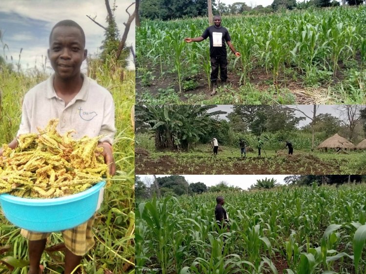 Food production is the way to peaceful South Sudan