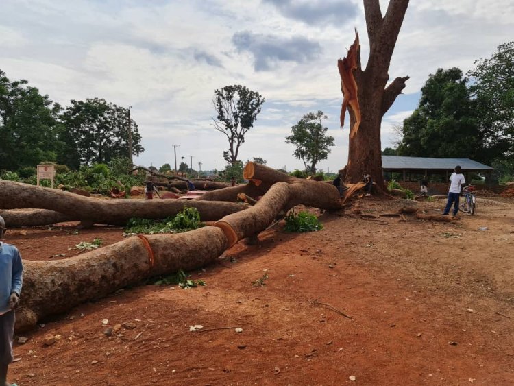 “Consider Intervening and Ordering those who are Behind the Destruction of our Environment to Stop”, Says Bishop Eduardo to the Governor and State Government of Western Equatoria