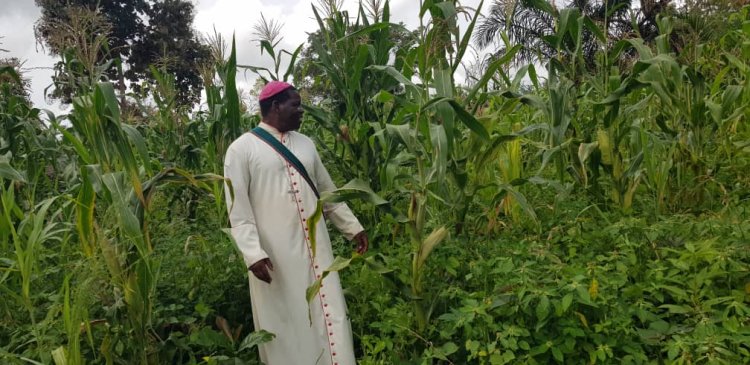 Bishop Eduardo's Vision Blossoms: Gangura Parish Achieves Agricultural Self-Sufficiency