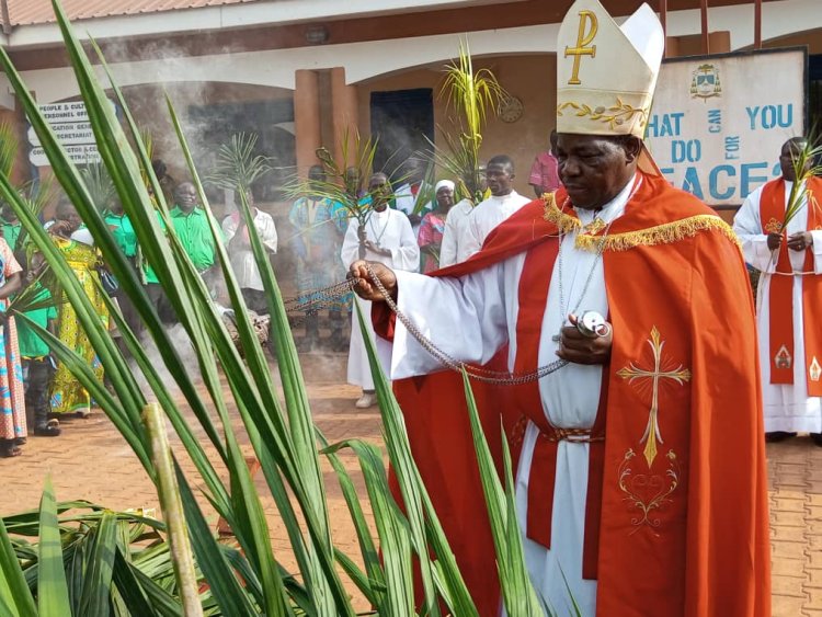 Head of CDTY Calls for Environmental Conservation, as Christians Celebrate Palm Sunday 