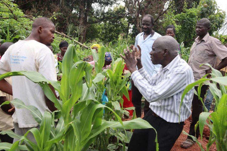 Farmers to Gain Vital Skills in Ongoing Disease and Pest Control Training by CODEP