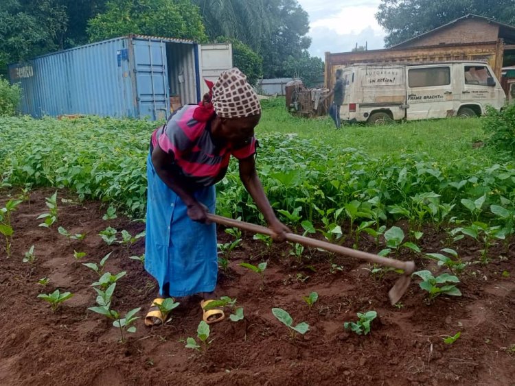 South Sudanese Nun Embraces Subsistence Farming Amid Economic Struggles in South Sudan